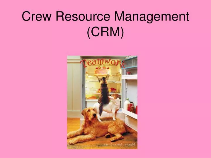 crew resource management crm