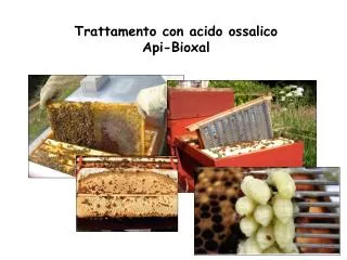 trattamento con acido ossalico api bioxal