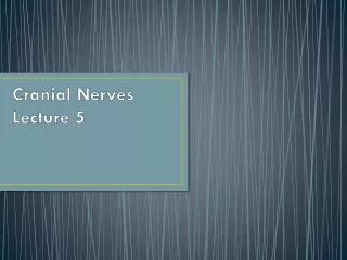 Cranial Nerves Lecture 5