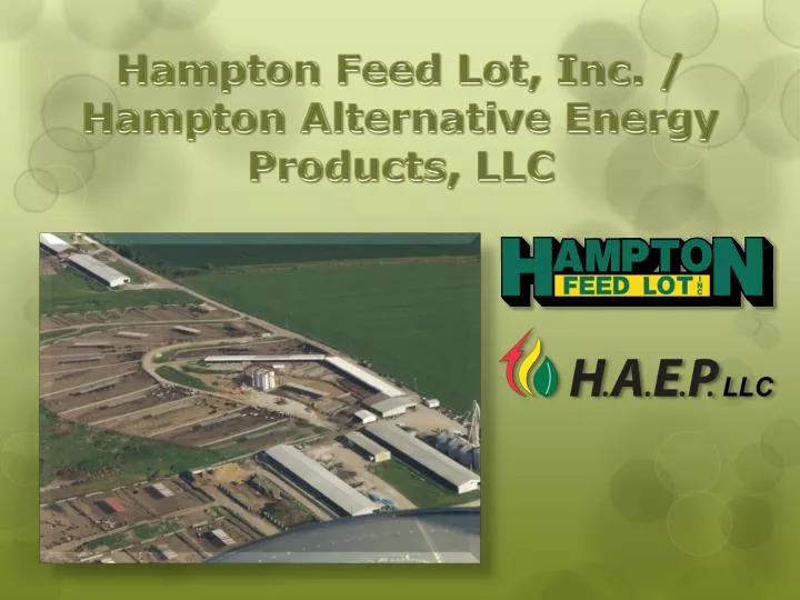 hampton feed lot inc hampton alternative energy products llc