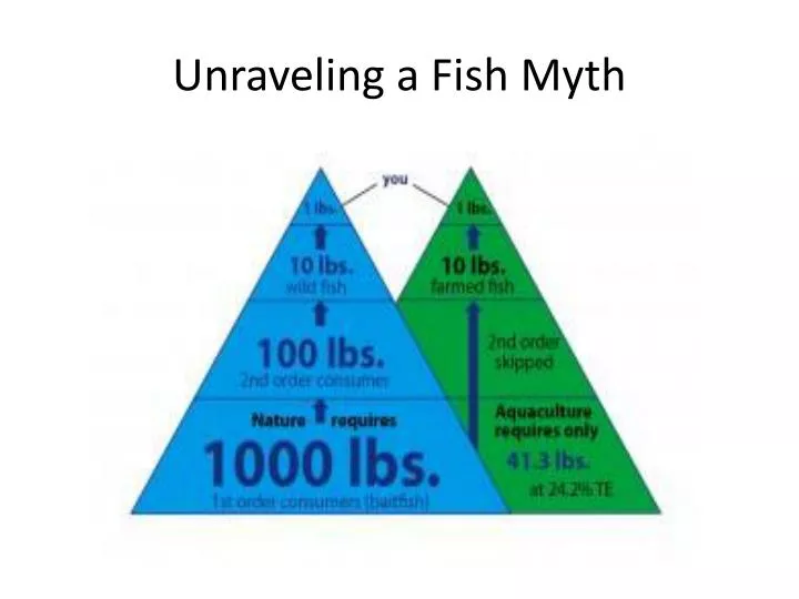 unraveling a fish myth