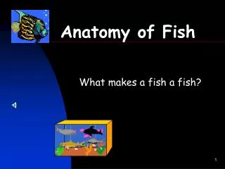 Anatomy of Fish