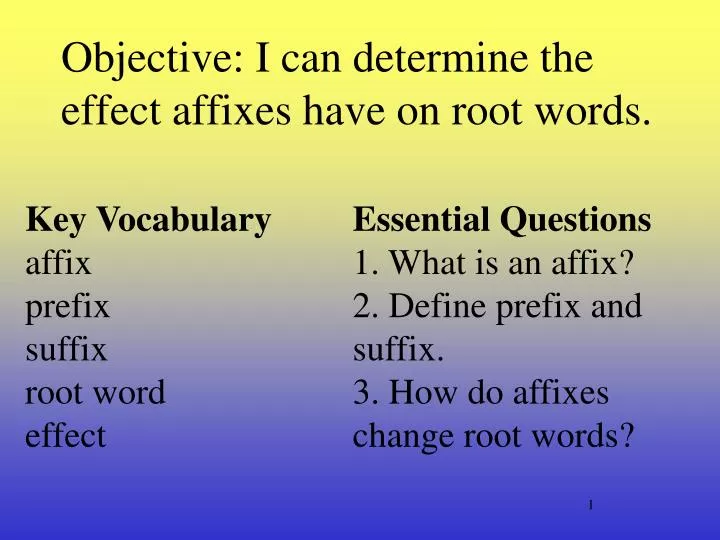 objective i can determine the effect affixes have on root words