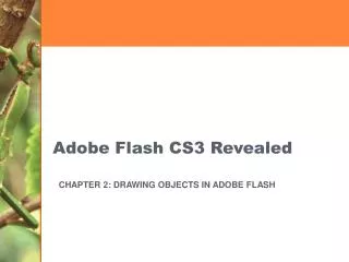 Adobe Flash CS3 Revealed