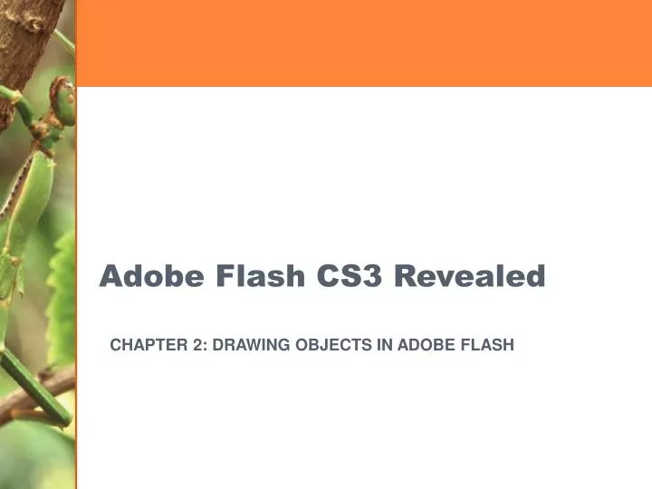 adobe flash cs3 revealed