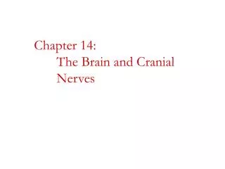 Chapter 14: 		The Brain and Cranial 			Nerves