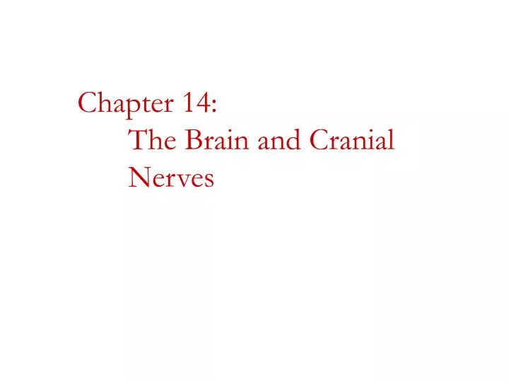 chapter 14 the brain and cranial nerves