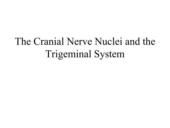 the cranial nerve nuclei and the trigeminal system