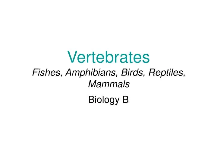 vertebrates fishes amphibians birds reptiles mammals