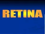 RETINA - slide 1