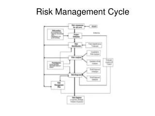 Risk Management Cycle