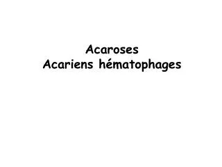Acaroses Acariens hématophages