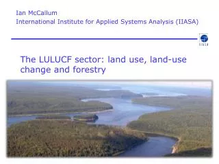 The LULUCF sector: land use, land-use change and forestry