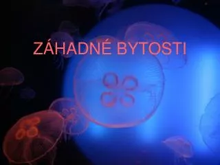 z hadn bytosti