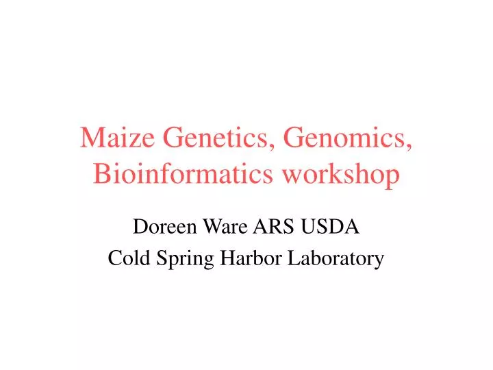 maize genetics genomics bioinformatics workshop