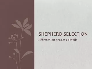 Shepherd Selection