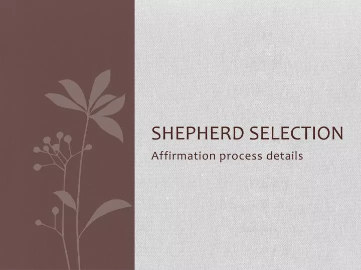 shepherd selection