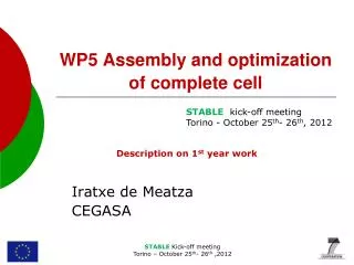 WP5 Assembly and optimization of complete cell