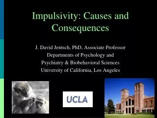 Impulsivity: Causes and Consequences