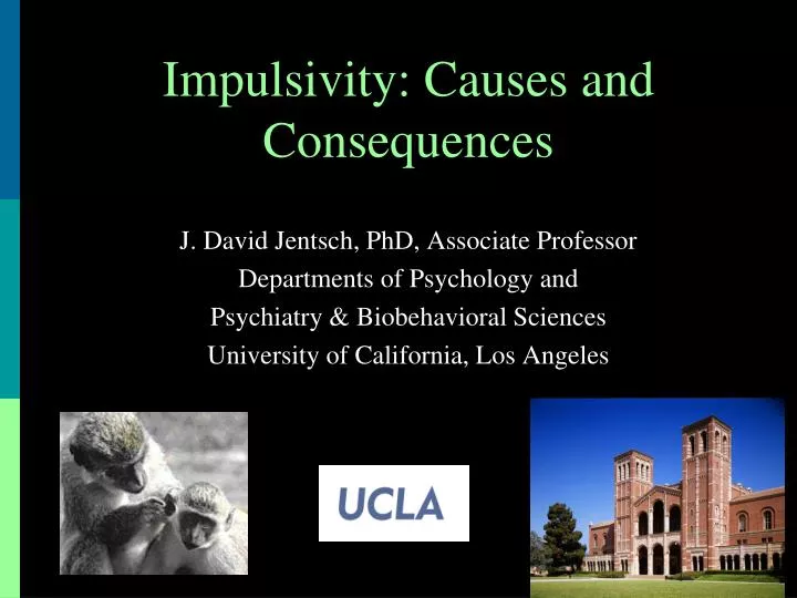 impulsivity causes and consequences