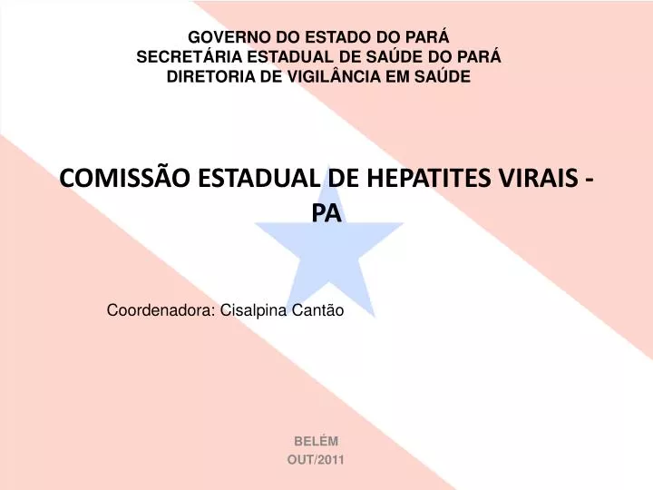 comiss o estadual de hepatites virais pa