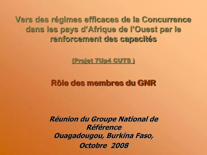 r union du groupe national de r f rence ouagadougou burkina faso octobre 2008