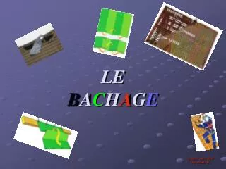 le b a c h a g e
