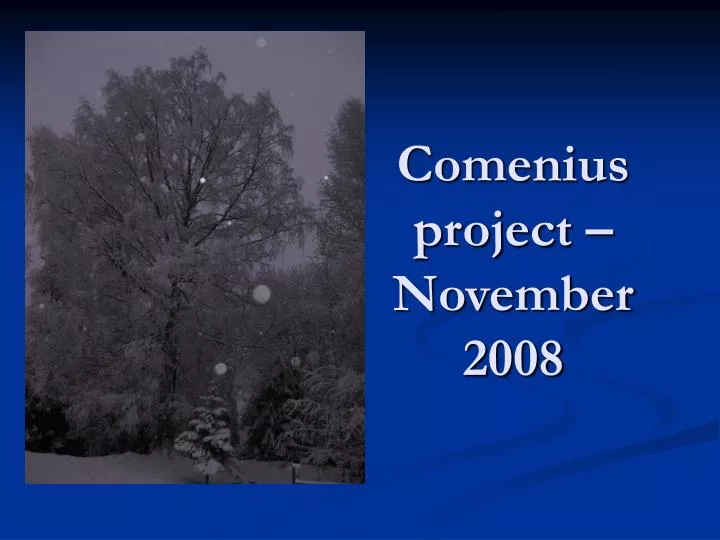 comenius project november 2008