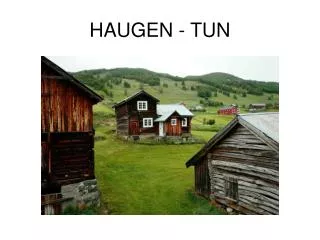 haugen tun
