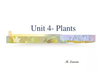 Unit 4- Plants