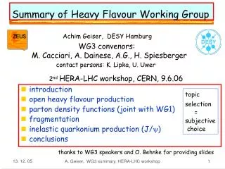 Summary of Heavy Flavour Working Group