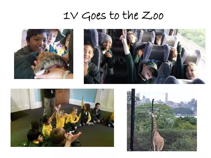 1v goes to the zoo