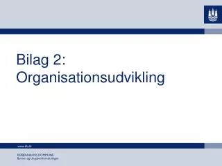 bilag 2 organisationsudvikling