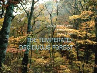 The Temperate/ Deciduous Forest
