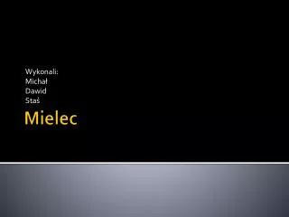wykonali micha dawid sta