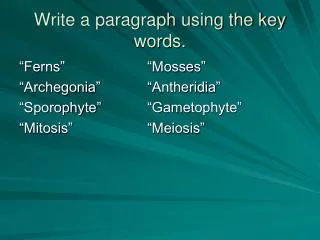 Write a paragraph using the key words.