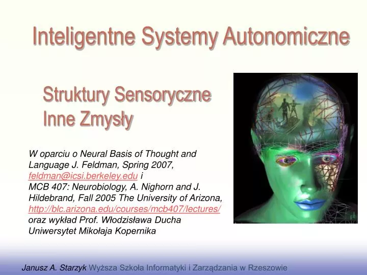 struktury sensoryczne inne zmys y