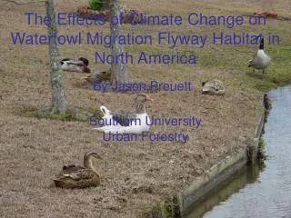 The Effects of Climate Change on Waterfowl Migration Flyway Habitat in North America