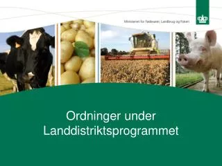 ordninger under landdistriktsprogrammet