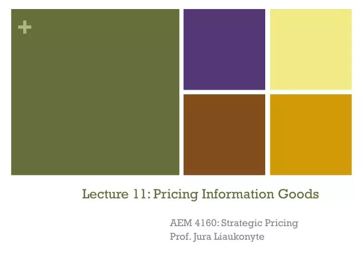 lecture 11 pricing information goods