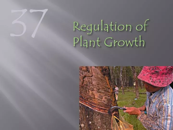 regulation of plant growth