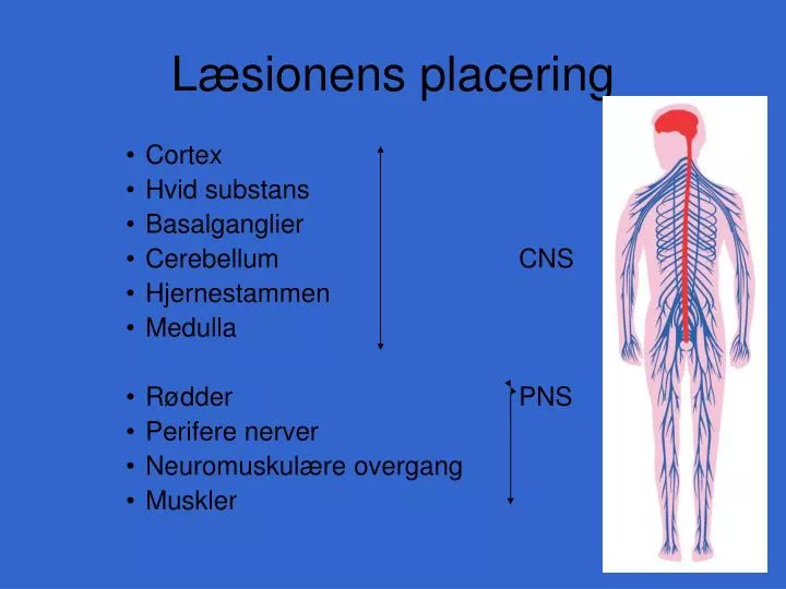 l sionens placering