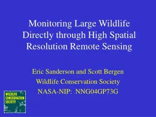 Monitoring Large Wildlife Directly through High Spatial Resolution Remote Sensing