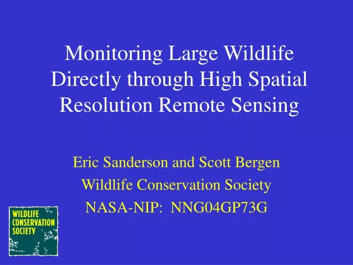 monitoring large wildlife directly through high spatial resolution remote sensing