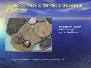 Fossils: Our Keys to the Past and Evidence of Evolution