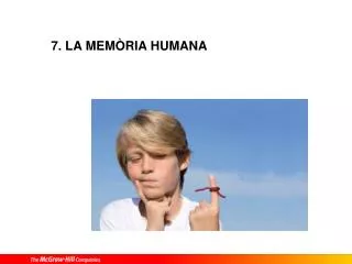 7 la mem ria humana