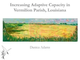 Increasing Adaptive Capacity in Vermilion Parish, Louisiana