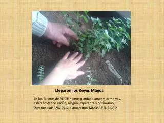 llegaron los reyes magos