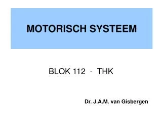motorisch systeem