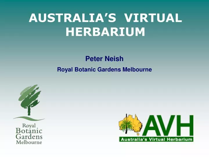 australia s virtual herbarium